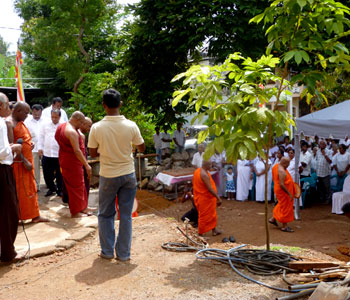 Gallery Image 24