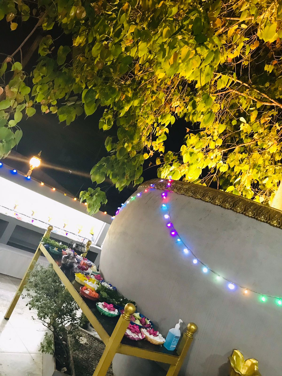 Gallery Image 33