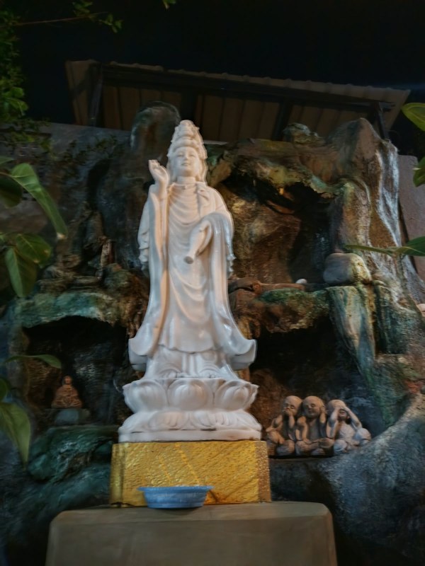 The Sacred Bo Tree in New Growth